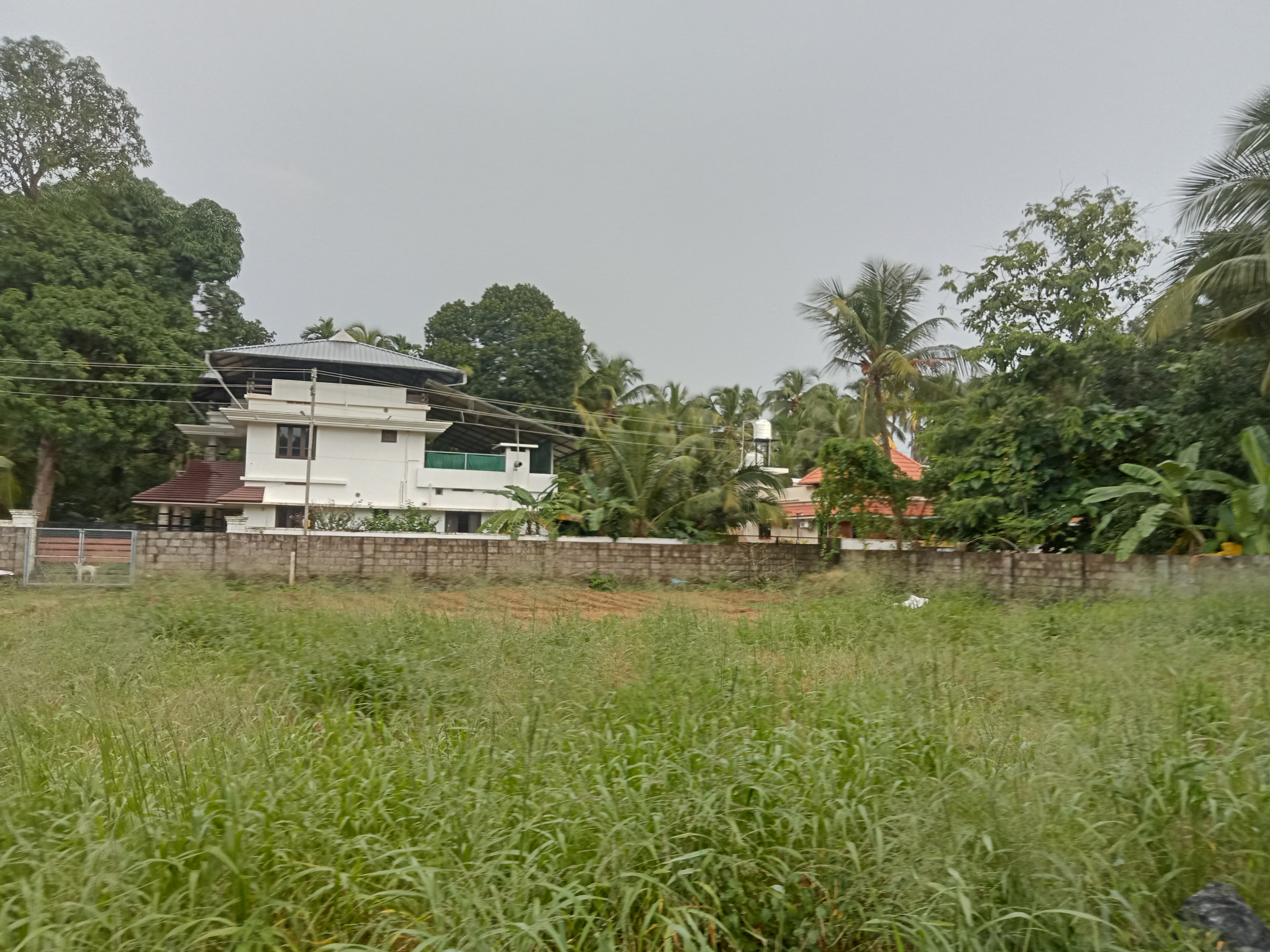 Small Image