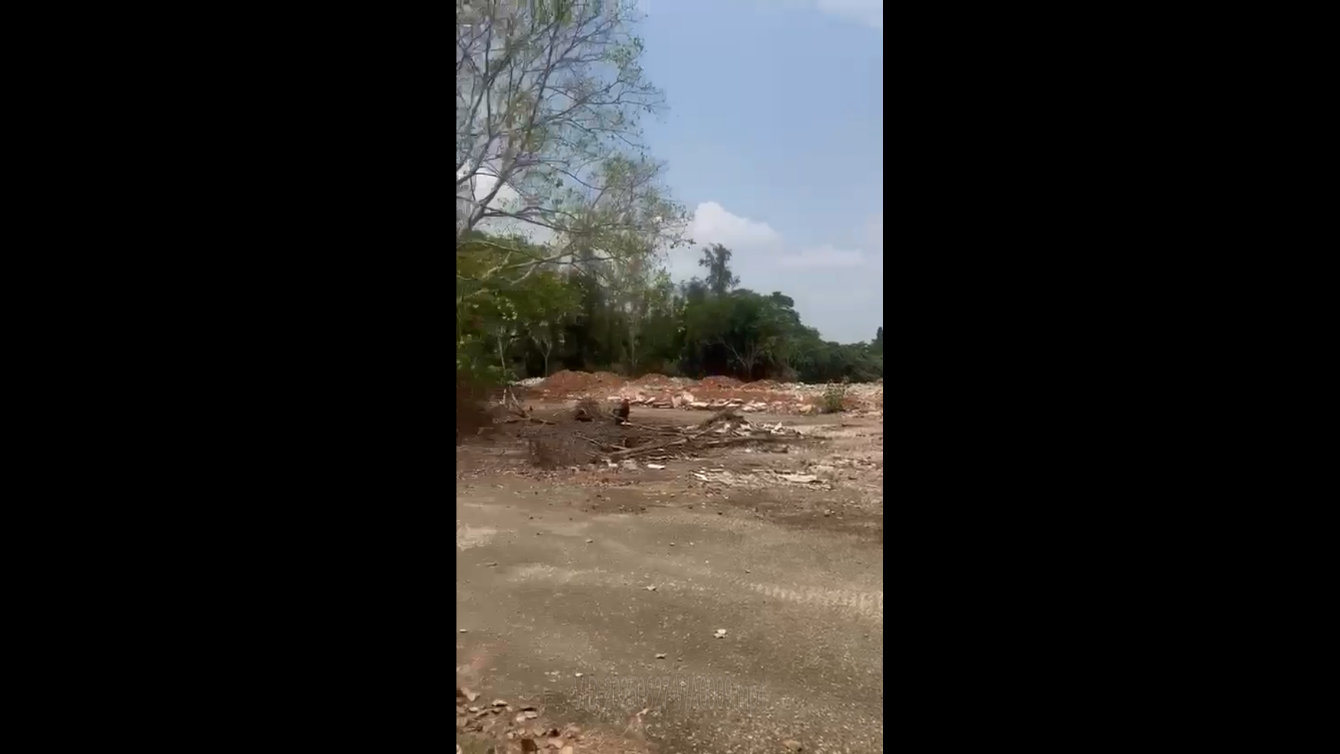 LAND FOR SALE | ATHANI THRISSUR | 12.54 ACRE LAND |