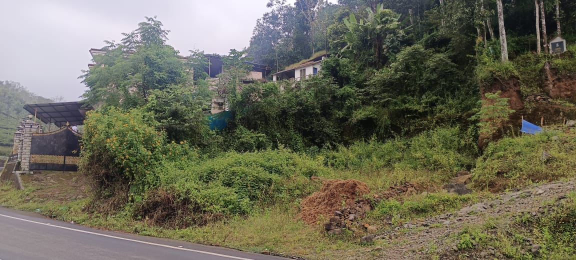 ELAPPARA KATTAPANA ROAD | LAND FOR SALE | 15 CENT | HIGHWAY FRONTAGE