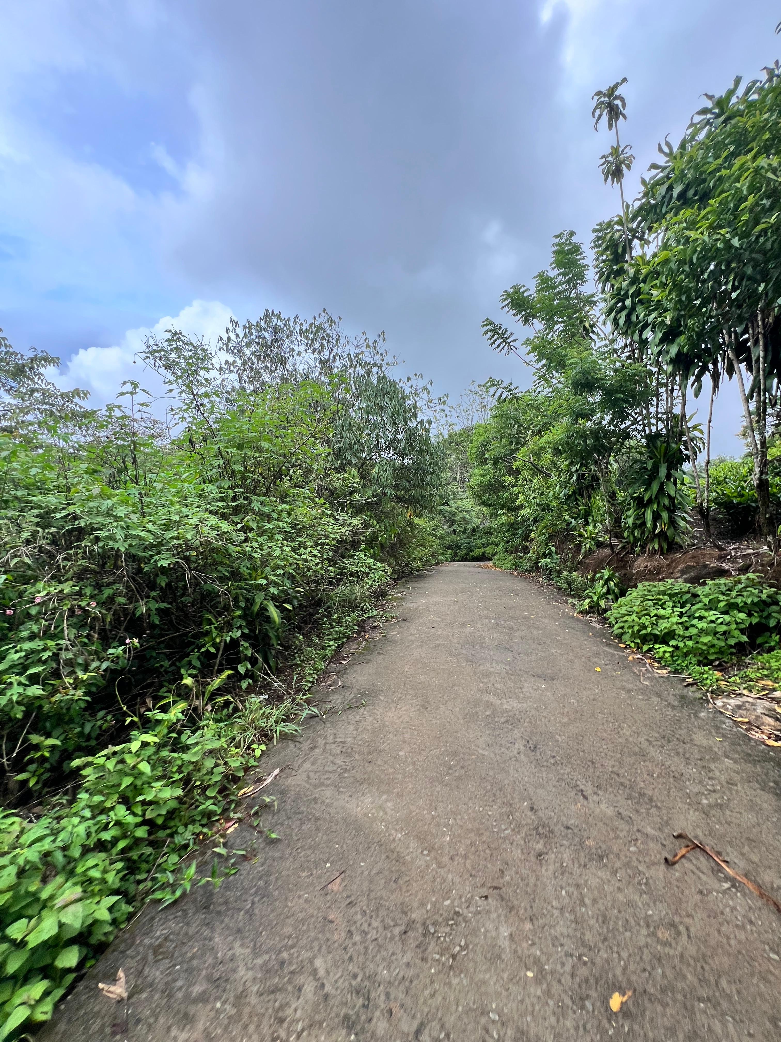 VAGAMON | LAND FOR SALE | 5 ACRE | VAGAMON TOWN - 2.5 KM | SUPER VIEWS