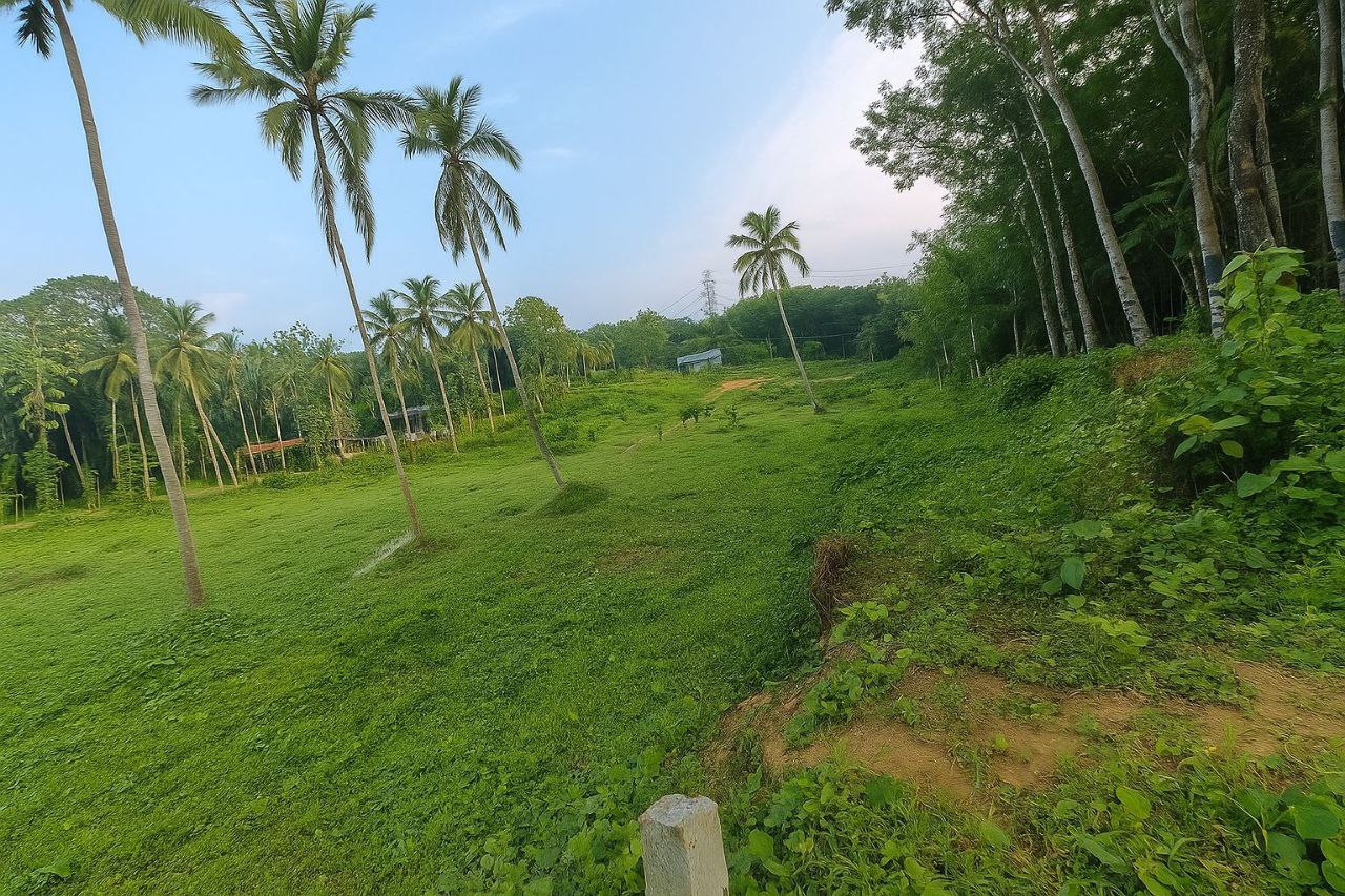 Small Image