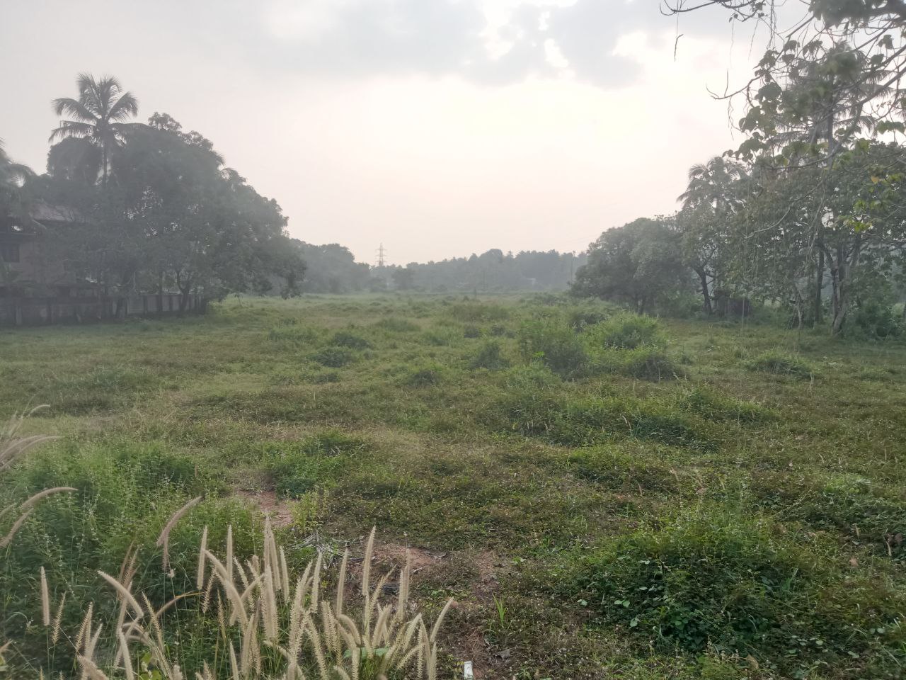 THRISSUR TOWN TO 7 KM | MAIN ROAD FRONTAGE | 2.5 ACRE LAND FOR SALE | SUFFICIENT WATER