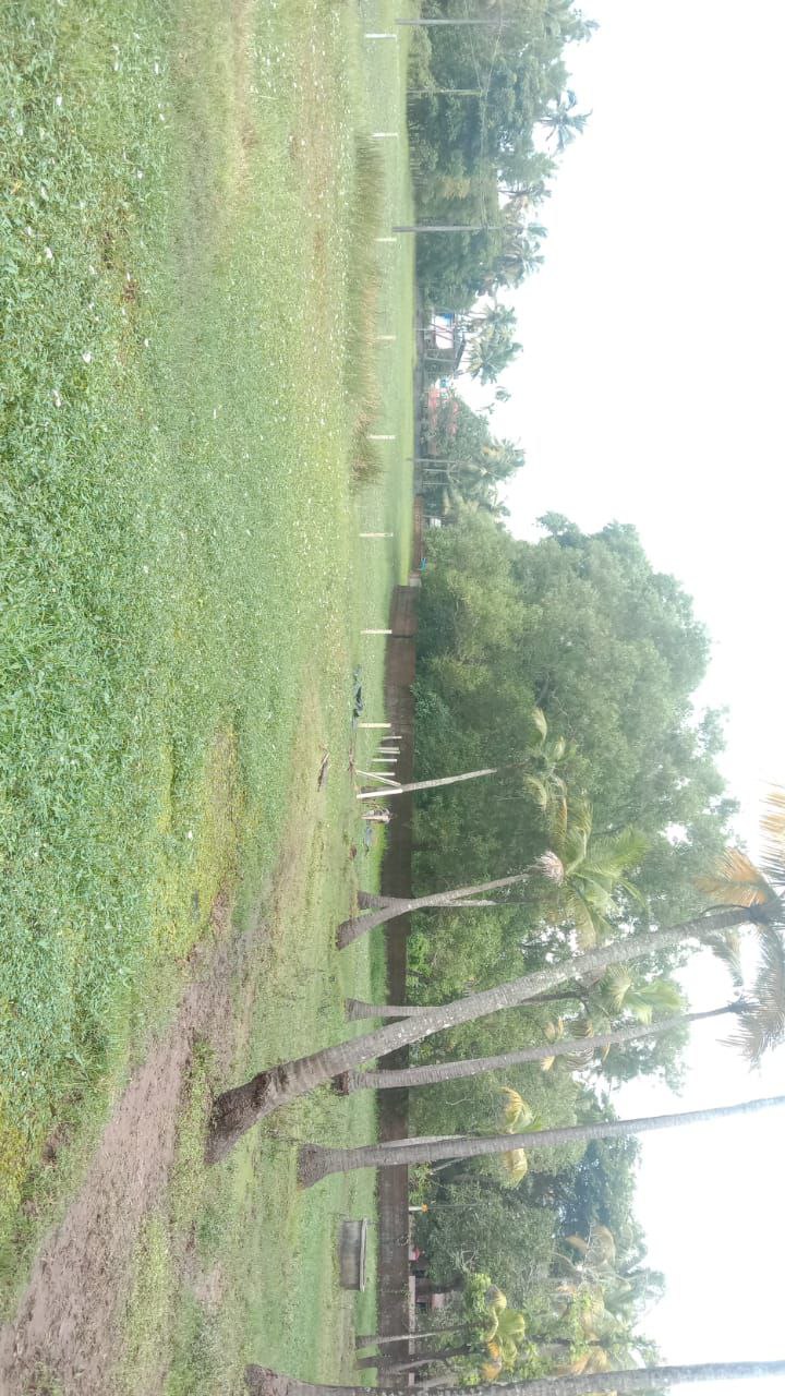 Small Image