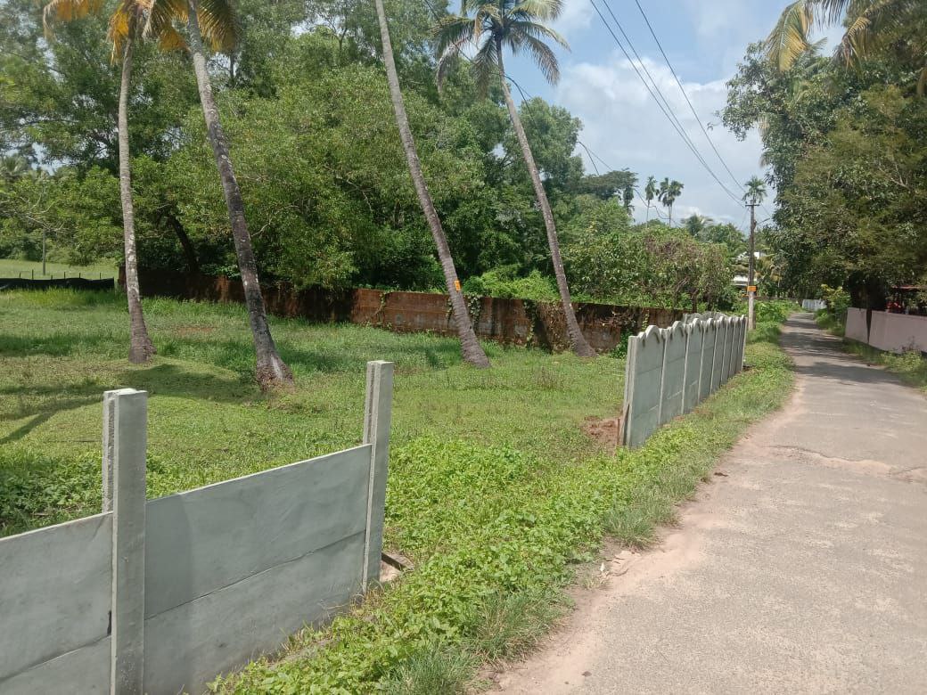 Small Image