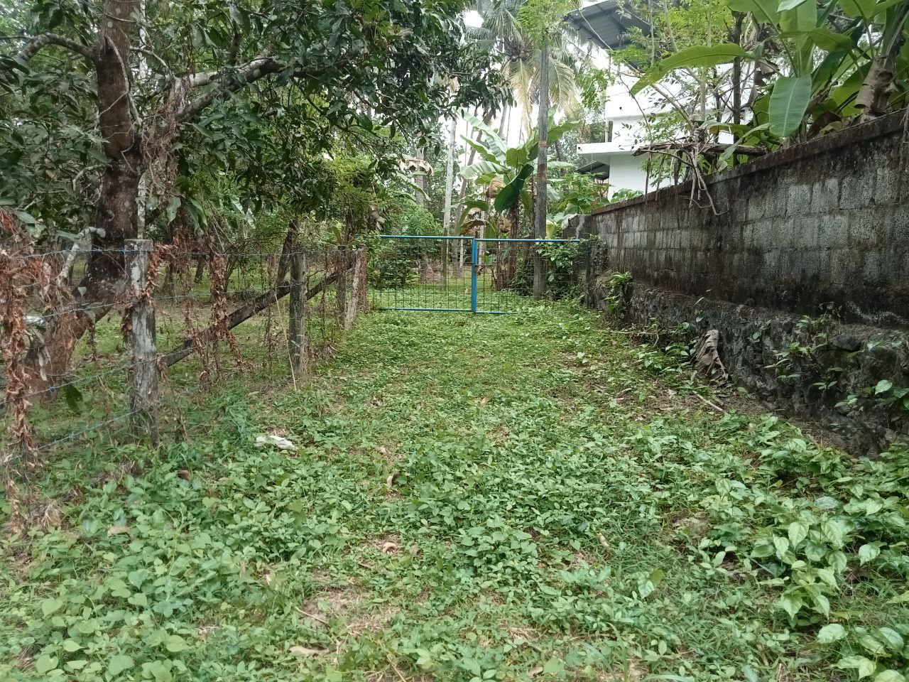 KALATHODE , THRISSUR | 21.75 CENT | SUFFICIENT WATER | OPEN WELL | MOTOR SHED | 