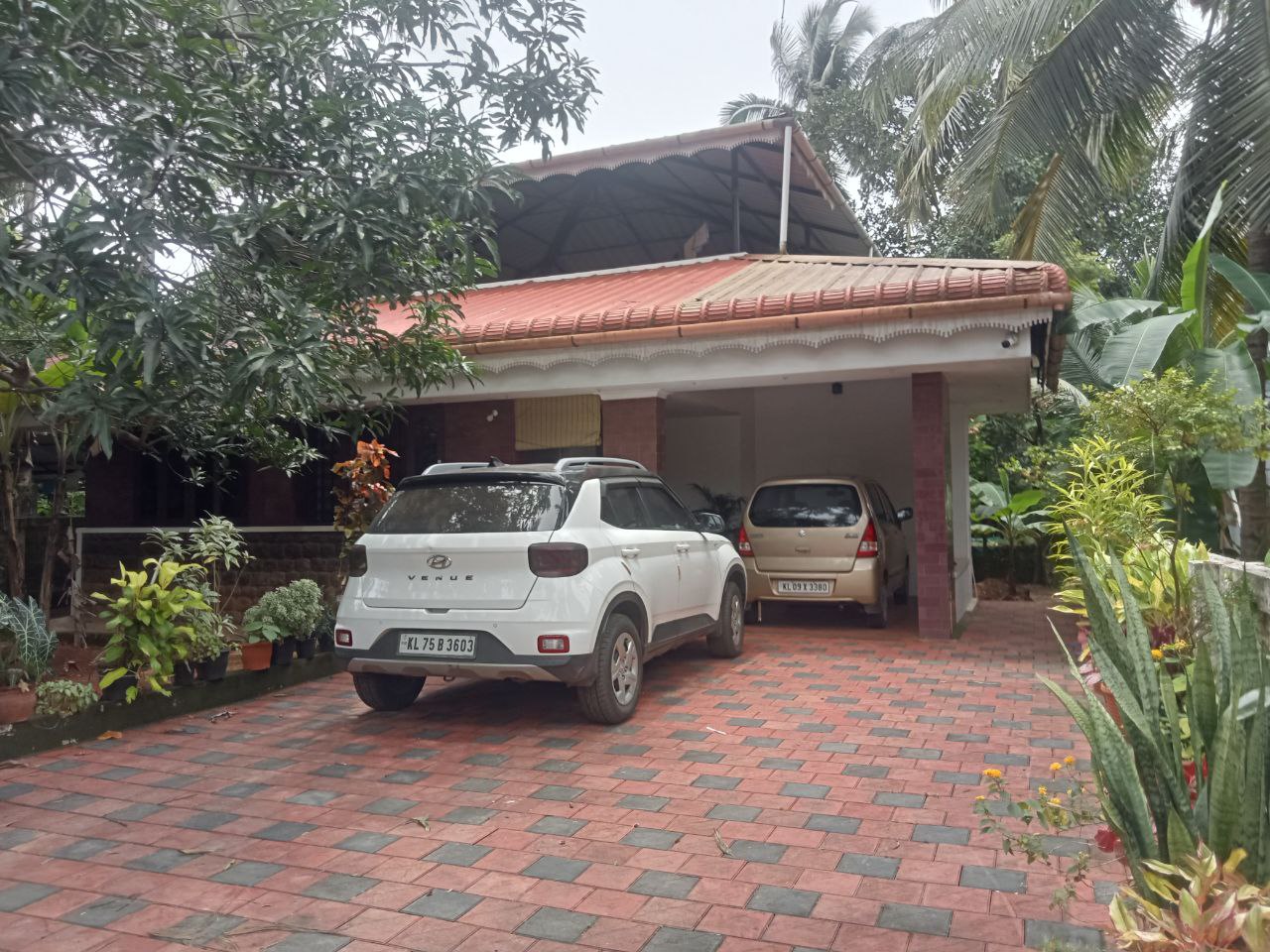 Small Image