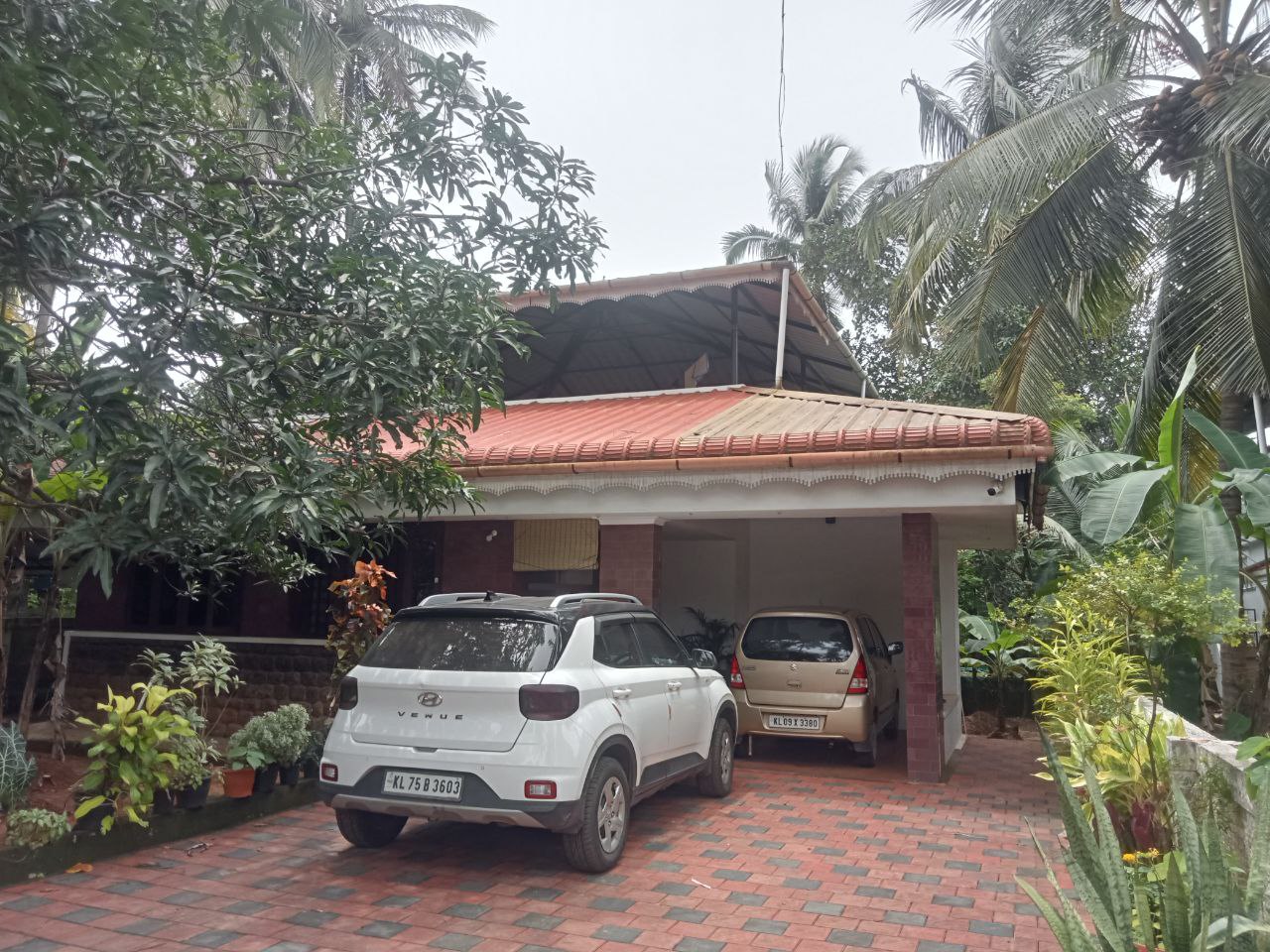 Small Image