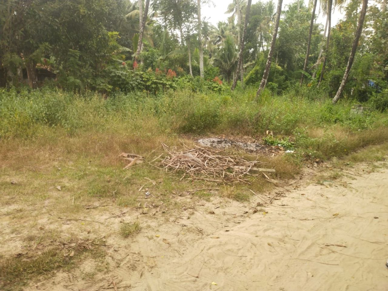 Small Image