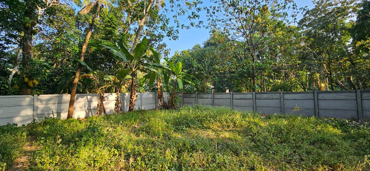 THRISSUR KANIPAYYUR | LAND FOR SALE | 10 CENT | SUFFICIENT WATER | HOSPITAL NEAR