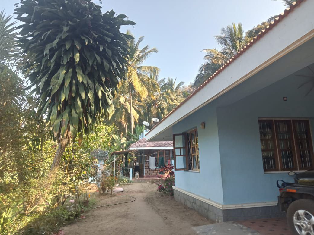 MARAYOOR | LAND FOR SALE | 40 ACRE LAND 37 ACRE LA PATTAYAM | 26,000 SQFT COW SHED AND 2 BUILDING