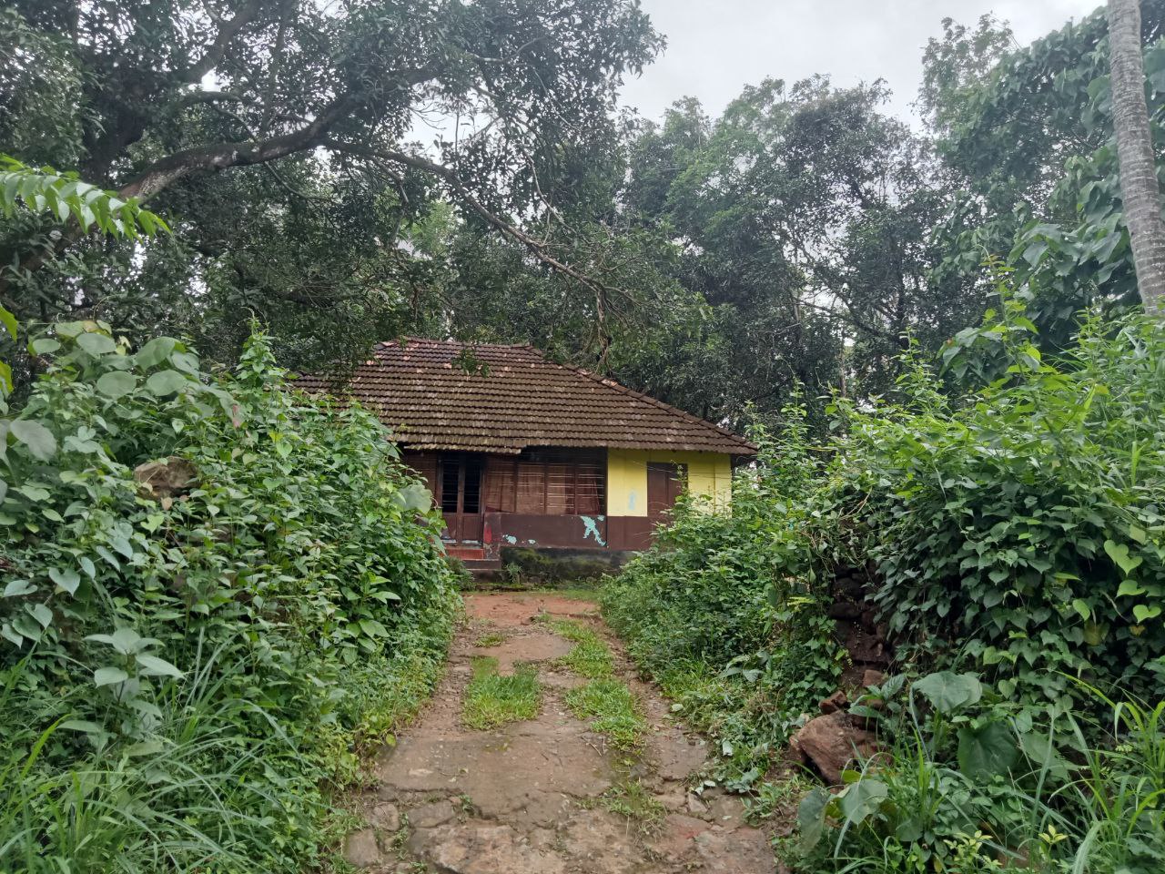 LAND FOR SALE | 1 ACRE 44 CENT | OLD HOUSE 