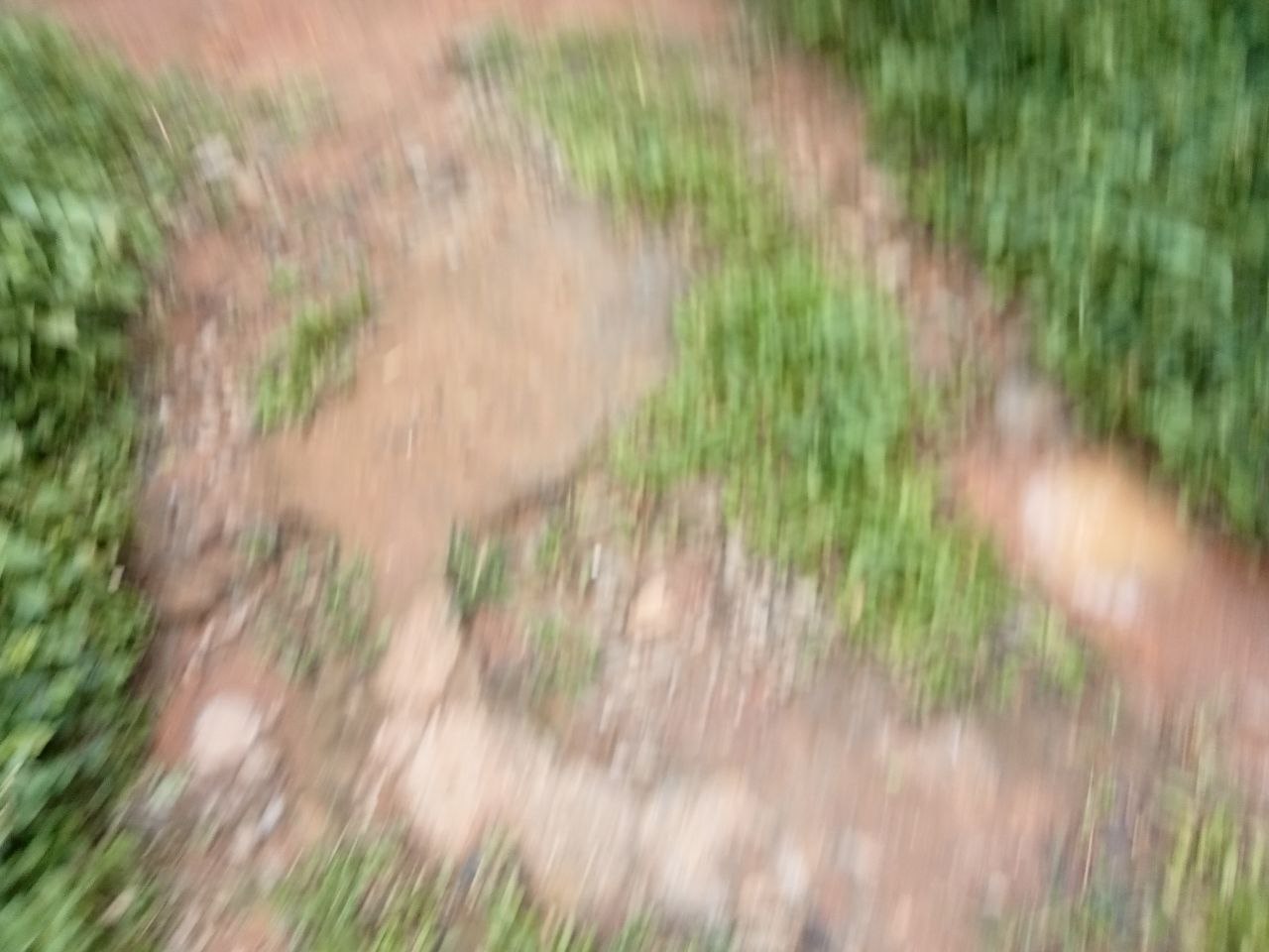 Small Image