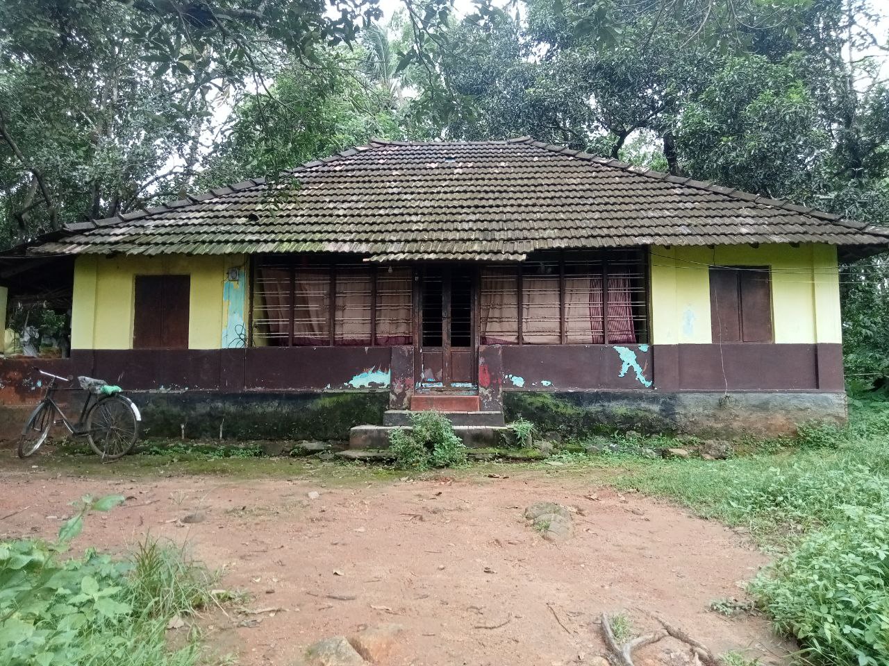 Small Image